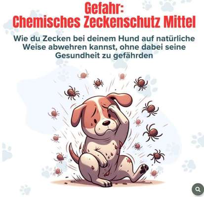 TierschutzhundeStammtisch🐕-Beitrag-Bild