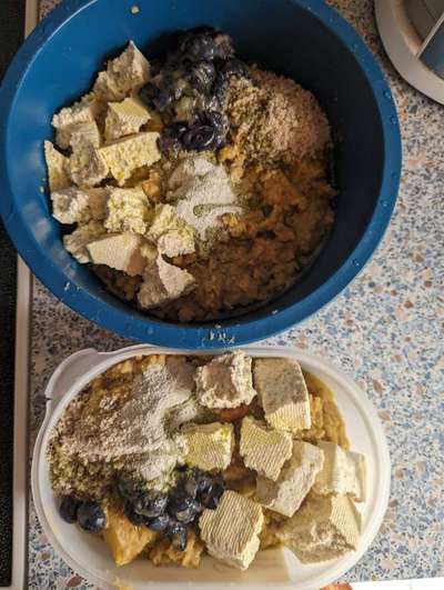 Zeigt her Eure Futternäpfe-Beitrag-Bild