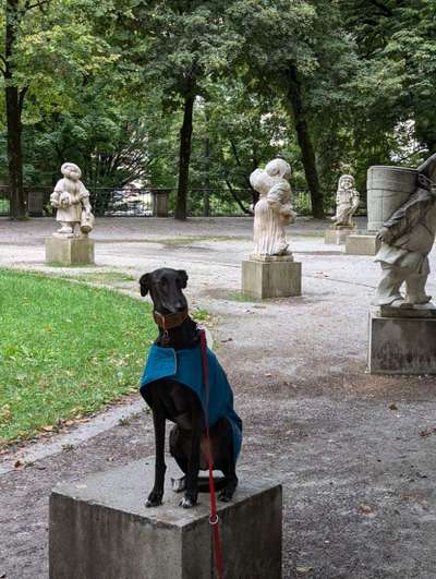 TierschutzhundeStammtisch🐕-Beitrag-Bild