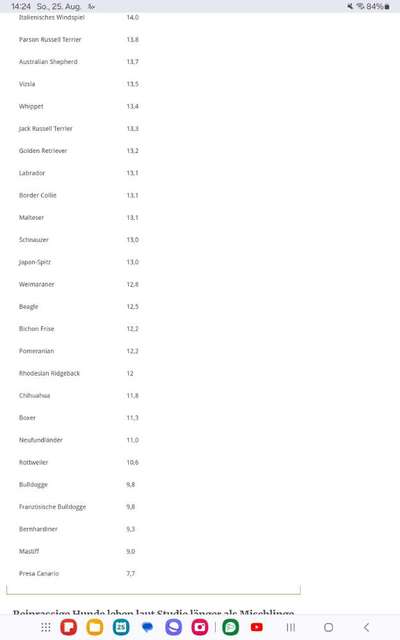 Brachyzephalie zu Hause entgegen wirken-Beitrag-Bild