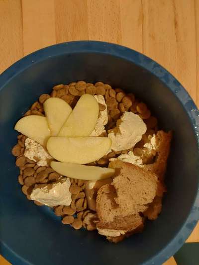 Zeigt her Eure Futternäpfe-Beitrag-Bild