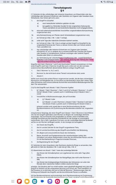 Kastration, in welchem Alter?-Beitrag-Bild