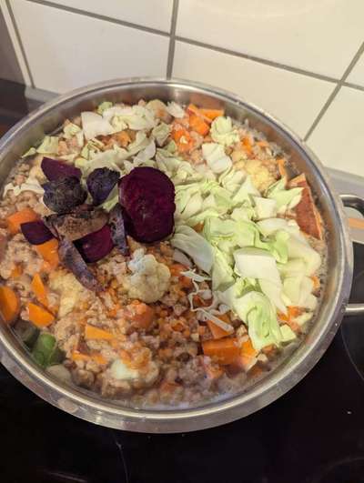 Zeigt her Eure Futternäpfe-Beitrag-Bild