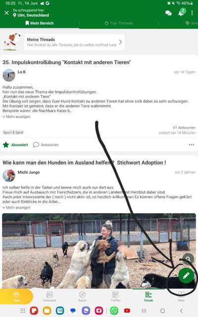 35. Impulskontrollübung "Kontakt mit anderen Tieren"-Beitrag-Bild