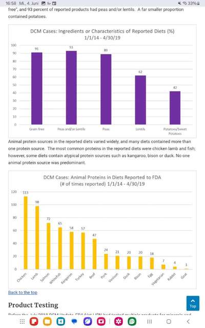 Qualzucht - Warum Aufklärung alleine nicht reicht-Beitrag-Bild
