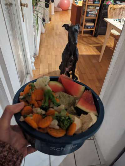 Zeigt her Eure Futternäpfe-Beitrag-Bild