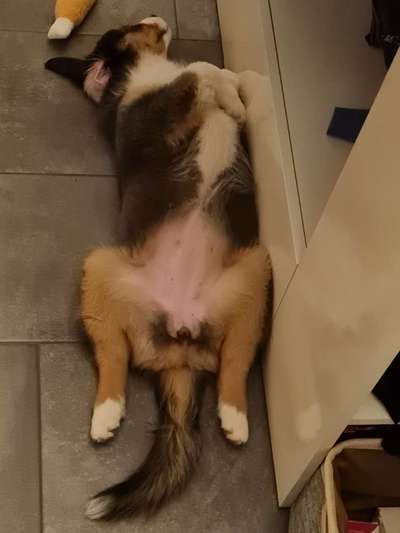 Fotochallenge Nr.65-Beitrag-Bild