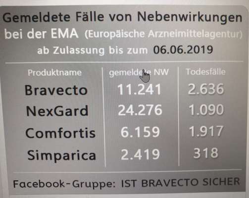 Zeckenbekämpfung durch Spot-ons - unübertreffliche Wirkung oder verhängnisvolles Gift?-Beitrag-Bild