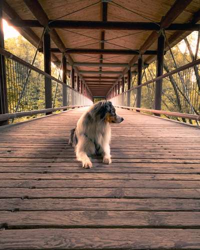 Foto Challenge Thema "Brücke"-Beitrag-Bild