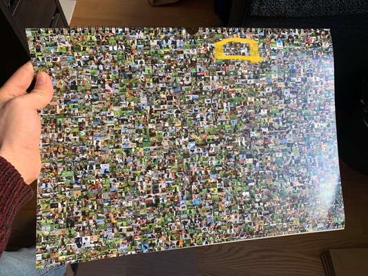 Zeig deinen Hund in der Kalender-Collage-Beitrag-Bild