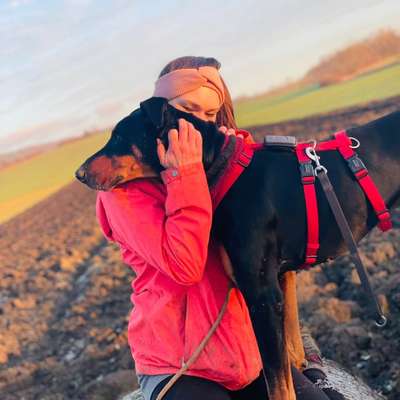 Hundetreffen-Gassirunde-Profilbild