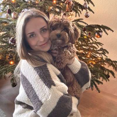 Hundetreffen-Gassi🐾