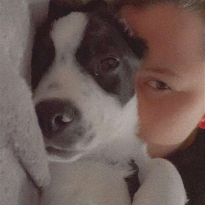 Hundetreffen-Welpentreff/ kleine bis mittlere Hunde Treff-Profilbild