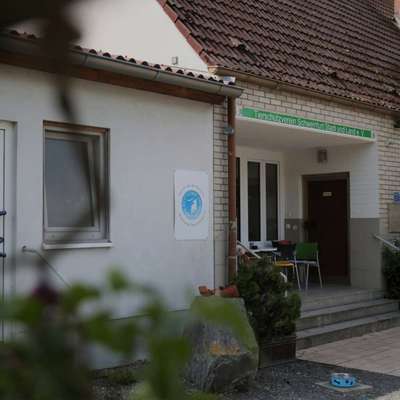 Tierheime-Tierheim Schwebheim-Bild