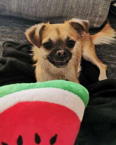 LUSTIGE FOTOS! WER KANN MITHALTEN?-Beitrag-Bild