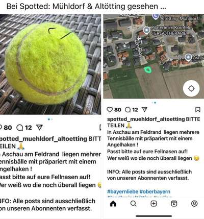 Giftköder-Präparierte Tennisbälle-Bild