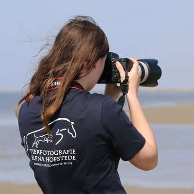 %{de_profession_title}-Fotoshooting-Bild