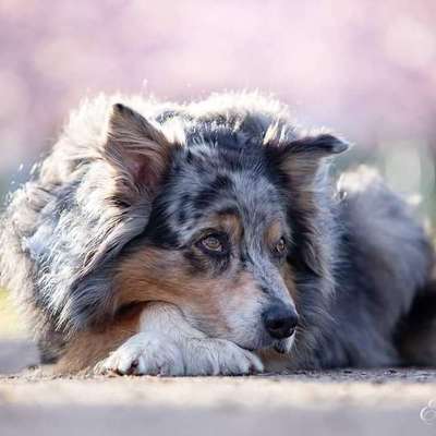 Tierfotografen-Tierfotografie Elena Hofstede-Bild