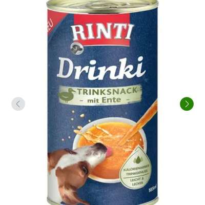 Chihuahuahündin trinkt nicht seid gestern-Beitrag-Bild
