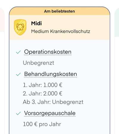 Panda Versicherung Insolvent?-Beitrag-Bild