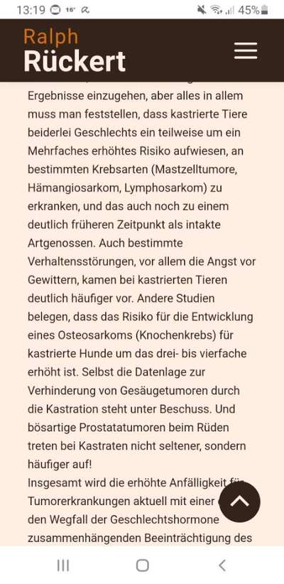 Kastration/Sterilisation Hündin-Beitrag-Bild