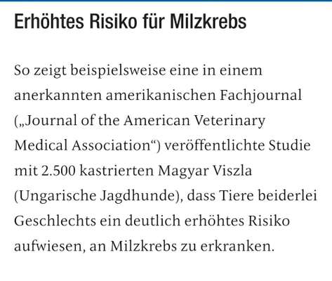 Kastration, in welchem Alter?-Beitrag-Bild