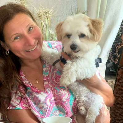 Hundetreffen-Welpen und Junghundetreffen-Bild