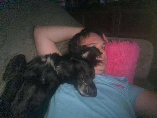 Vertrauen zwischen Hund und Halter-Beitrag-Bild