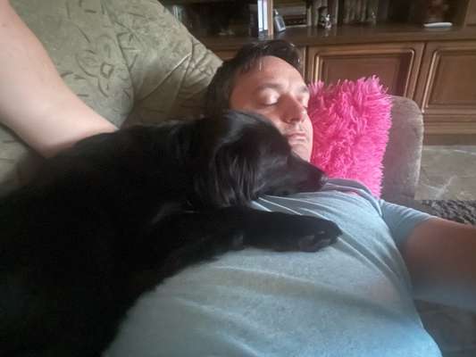 Vertrauen zwischen Hund und Halter-Beitrag-Bild