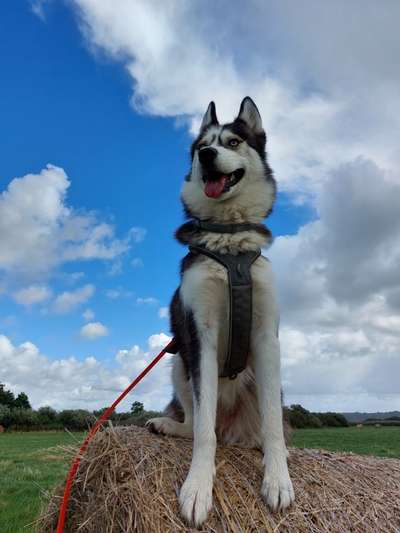 Handyfoto challenge Nr. 13: Waschlappen raus!-Beitrag-Bild