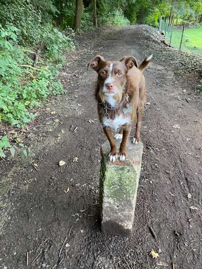 Fotochallenge Nr. 52 „Spring!“-Beitrag-Bild