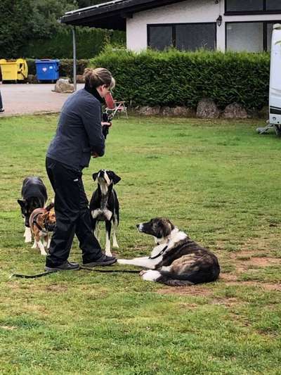Hundmenschfotos-Beitrag-Bild