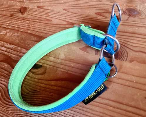 Welches Halsband trägt dein Hund und warum dieses?-Beitrag-Bild