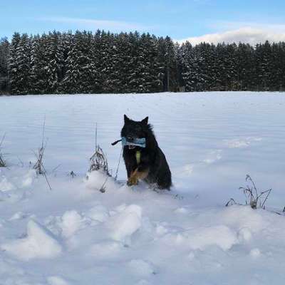 Was hat euch heute gefreut?-Beitrag-Bild