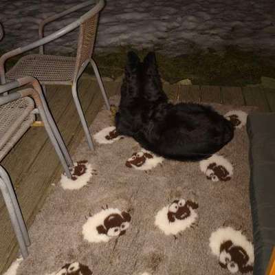 Decke für die Terrasse-Beitrag-Bild