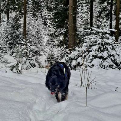 Was hat euch heute gefreut?-Beitrag-Bild