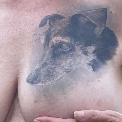 Andenken nach dem Verlust des Seelenhundes-Beitrag-Bild