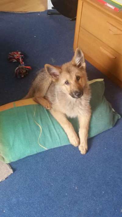 Vorher.... Nachher-Beitrag-Bild