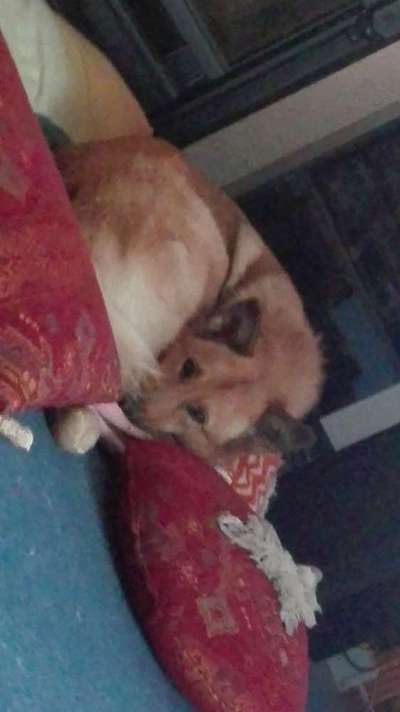 Vorher.... Nachher-Beitrag-Bild