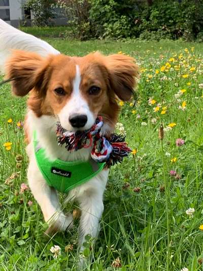 Lieblingsbild :D-Beitrag-Bild