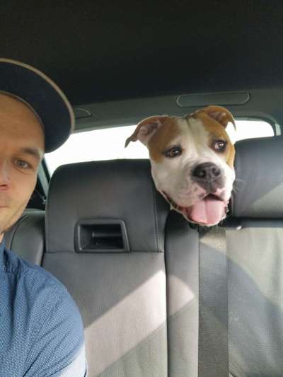 Die Dogorama-Wochen-Challenge "Die schönste Grimasse"-Beitrag-Bild