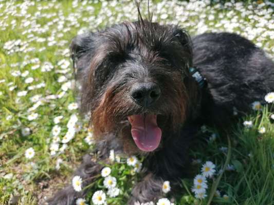 Fotowettbewerb Natur-Beitrag-Bild