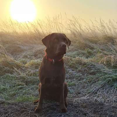 Lieblingsbild-Beitrag-Bild