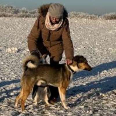 Susanne A.'s Profilbild