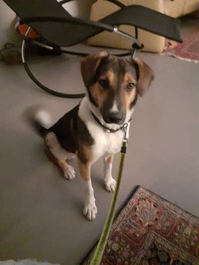 Doppelgänger gesucht !-Beitrag-Bild