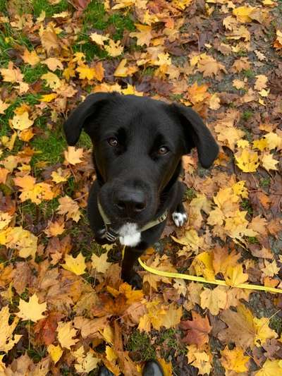 Handy-Foto Challange Nr. 10-Beitrag-Bild