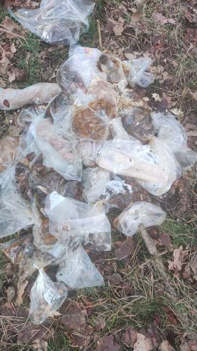 Giftköder-Fleisch Abfälle, eventuell mit Gift-Bild