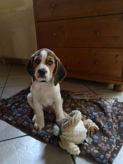 Erstes Bild-Beitrag-Bild