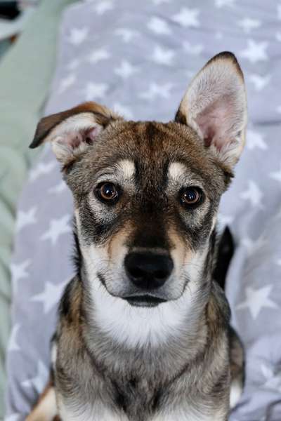 Lieblingsbild :D-Beitrag-Bild