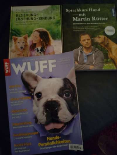 Hunde-Fachliteratur-Beitrag-Bild
